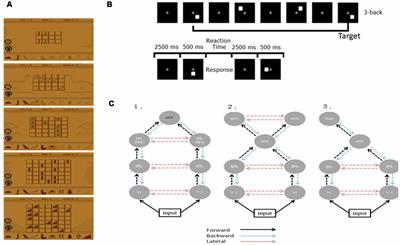 Distinguishing the Visual Working Memory Training and Practice Effects by the Effective Connectivity During n-back Tasks: A DCM of ERP Study